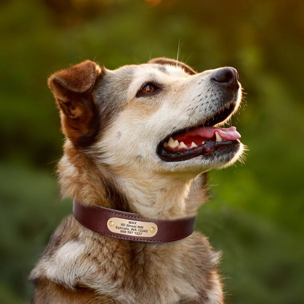 Collar de perro de cuero personalizado etiqueta de mascota collares suaves perro etiqueta de identificación grabada para perros grandes Pitubull Pastor Alemán - imagen 5