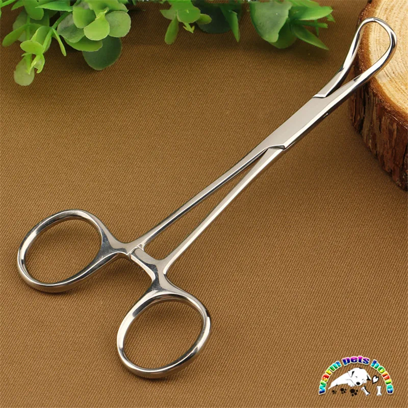Backhaus abrazadera de toalla, alicates de acero inoxidable, fórceps veterinarios, instrumentos superiores, suministros veterinarios - imagen 3