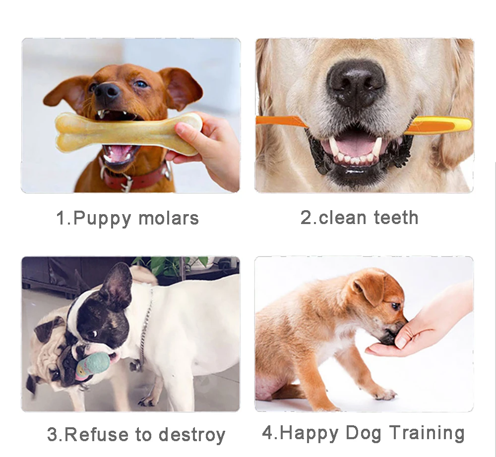 Varios cepillos dentales masticables para perros en diferentes colores