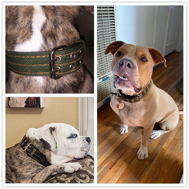 Benepaw-Collar de nailon duradero para perro, ajustable, cómodo, con hebilla de Metal de 2 filas, para entrenamiento táctico, para perros medianos y grandes - imagen 3