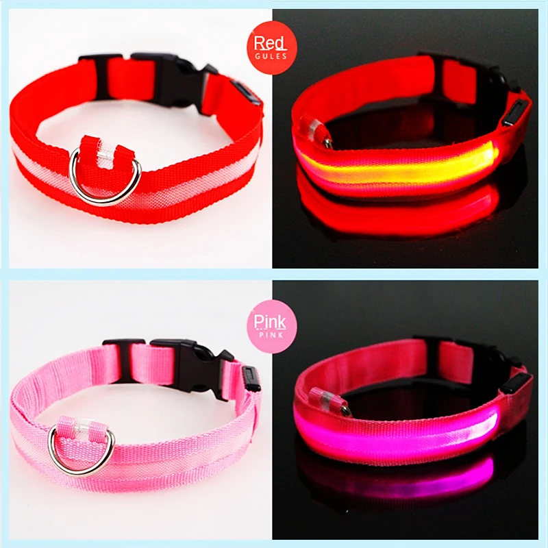 Collares LED en colores intensos para paseos nocturnos