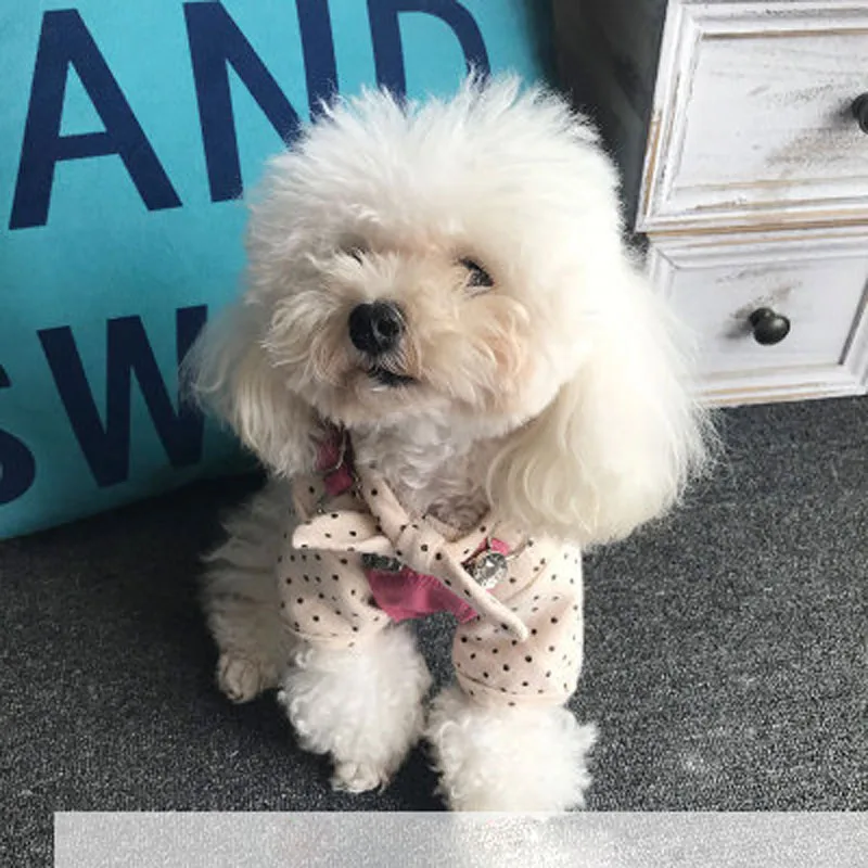 Vestido vaquero con tirantes para perro, falda bonita para mascotas, ropa de peluche, ropa para cachorros, Otoño, 2021 - imagen 4