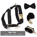 Harness 4pcs Set