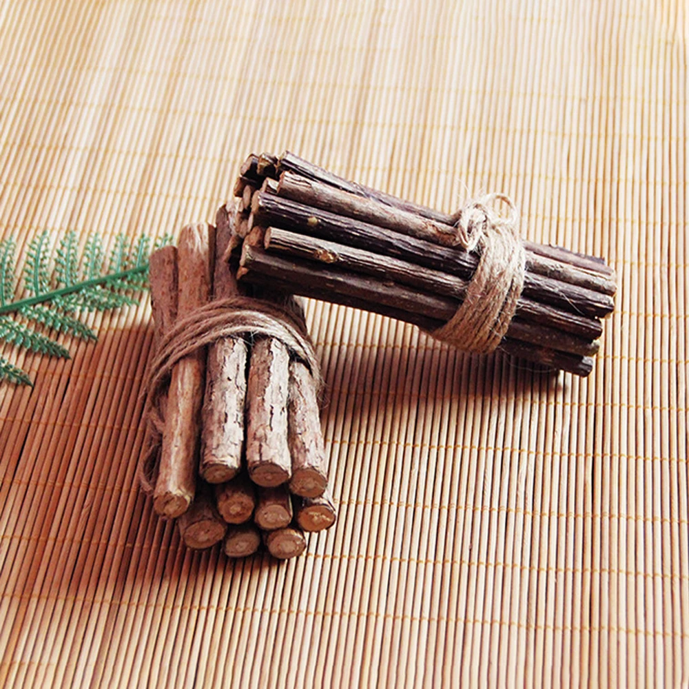 Palo de hierba gatera Natural para limpieza de gatos, palito de pasta de dientes Molar, Silvervine, Actinidia, fruta, Snacks para gatos, juguete para masticar para mascotas - imagen 2