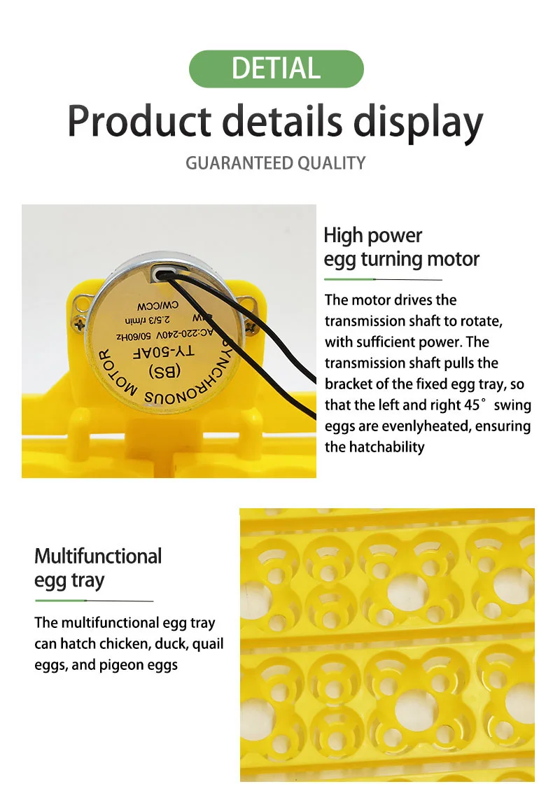 Bandeja incubadora de 36 huevos de codorniz, girador automático de platos de huevo, equipo de incubación de aves de corral para pollitos, patos y aves - imagen 4