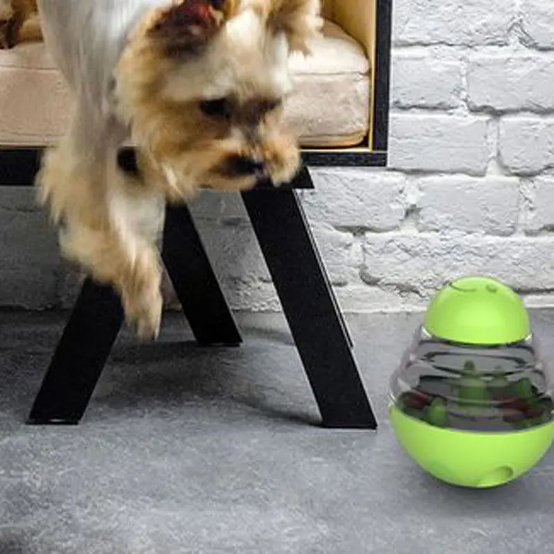 Suministros divertidos para perros y mascotas, vaso para fugas de comida, rompecabezas, juguete para aplicar a mascotas, ejercicio, entrenamiento, Chihuahua, juguetes fáciles de usar para gatos, Hunde Spielzeug - imagen 5