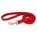 red leash
