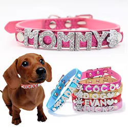 Collar con nombre para perro – Apto Chihuahua y Yorkshire