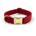 Collar Gold Buckle
