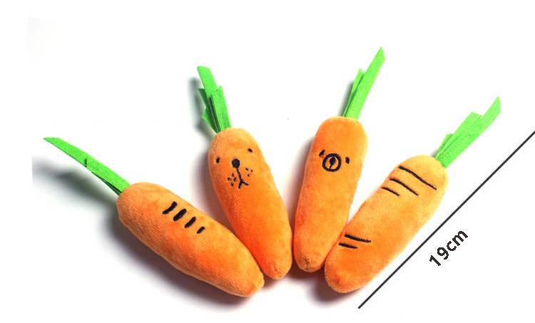 1pcs random carrot