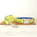 Dog Collar Leash Set