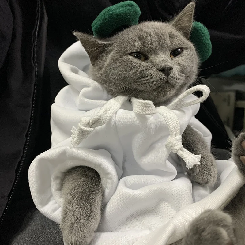 Sudadera con capucha de invierno para mascotas, suéter deportivo para gatos, suéteres para perros y gatitos, ropa para Cosplay de animales y frutas, disfraz para mascotas - imagen 5