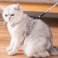 Conjunto arnés y correa antiescape ajustable para gatos