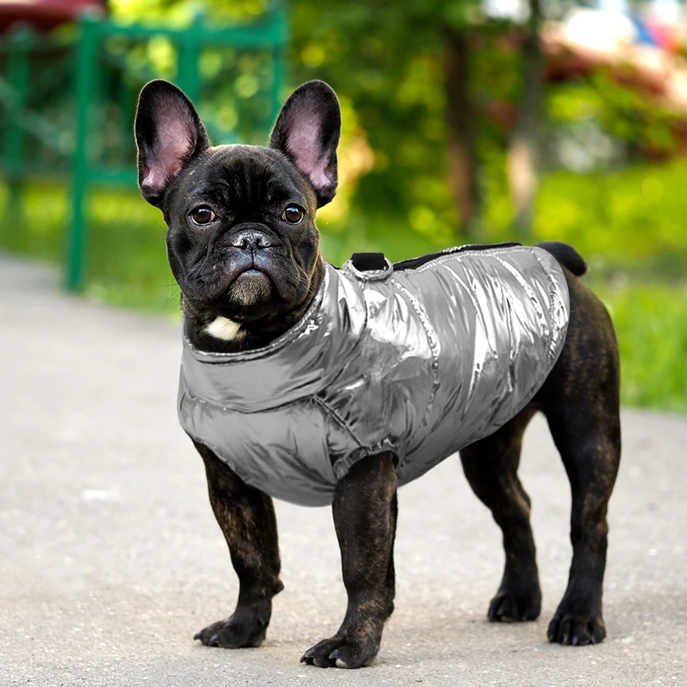 Ropa de invierno para mascotas, chaqueta cálida, abrigo de algodón más grueso, impermeable, para perros pequeños, medianos y grandes, Bulldog francés