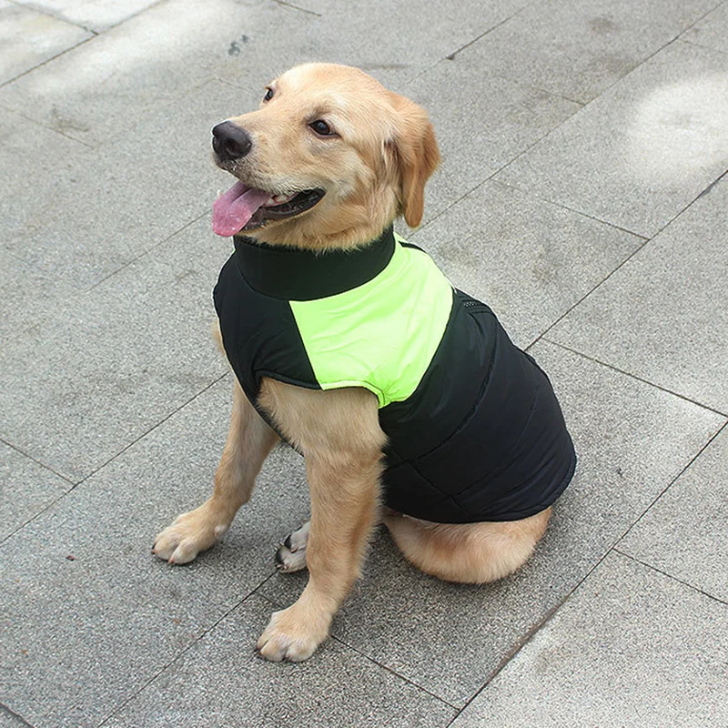 Chaqueta hebilla - Sistema de sujeción