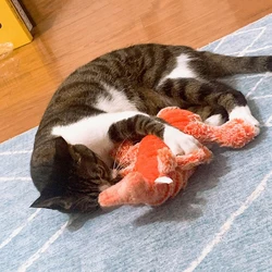 Juguete interactivo de peluche que baila para gatos y perros