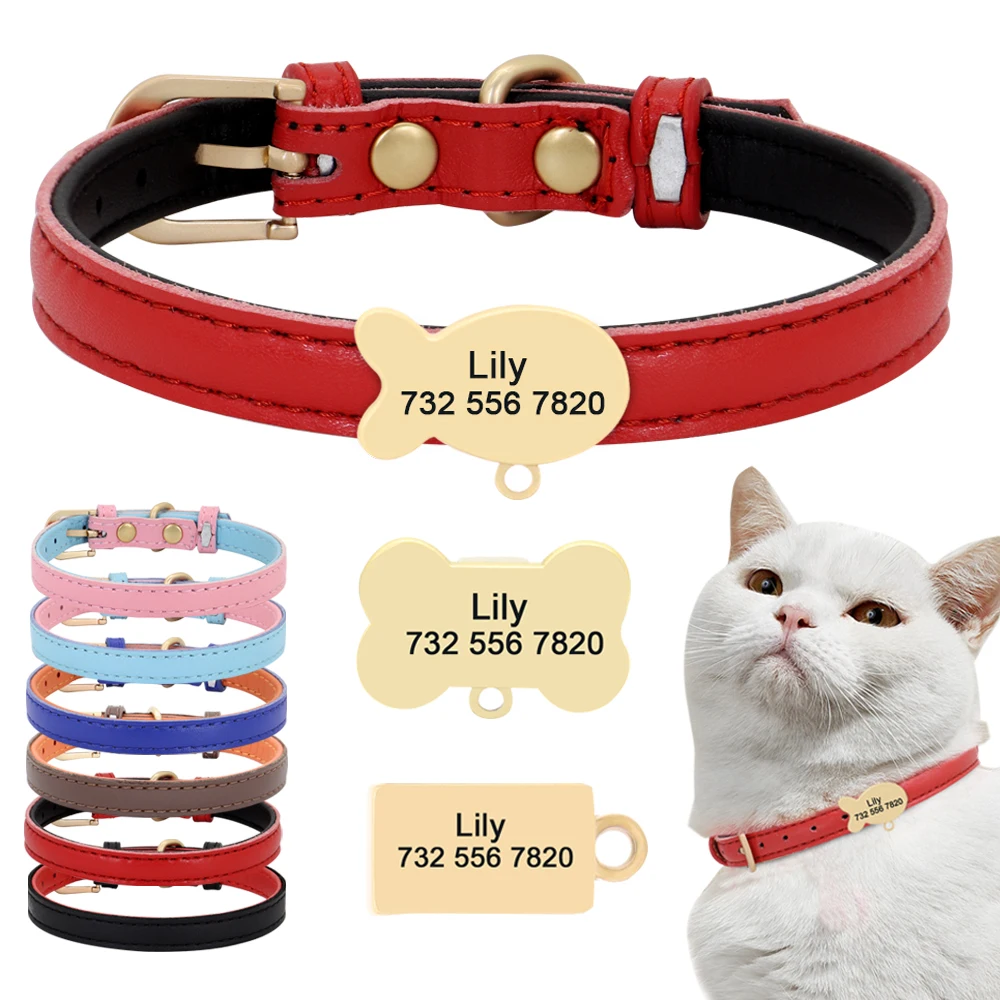 Collar gato personalizado perros pequeños - Vista principal diseño completo