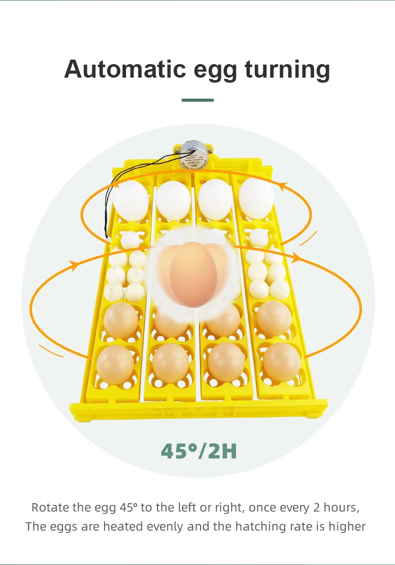 Incubadora de 24 huevos extraíble, bandeja de torneado automático, equipo de incubación de aves de corral, codorniz, pollos, pato - imagen 4