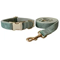 Dog Collar Leash Set