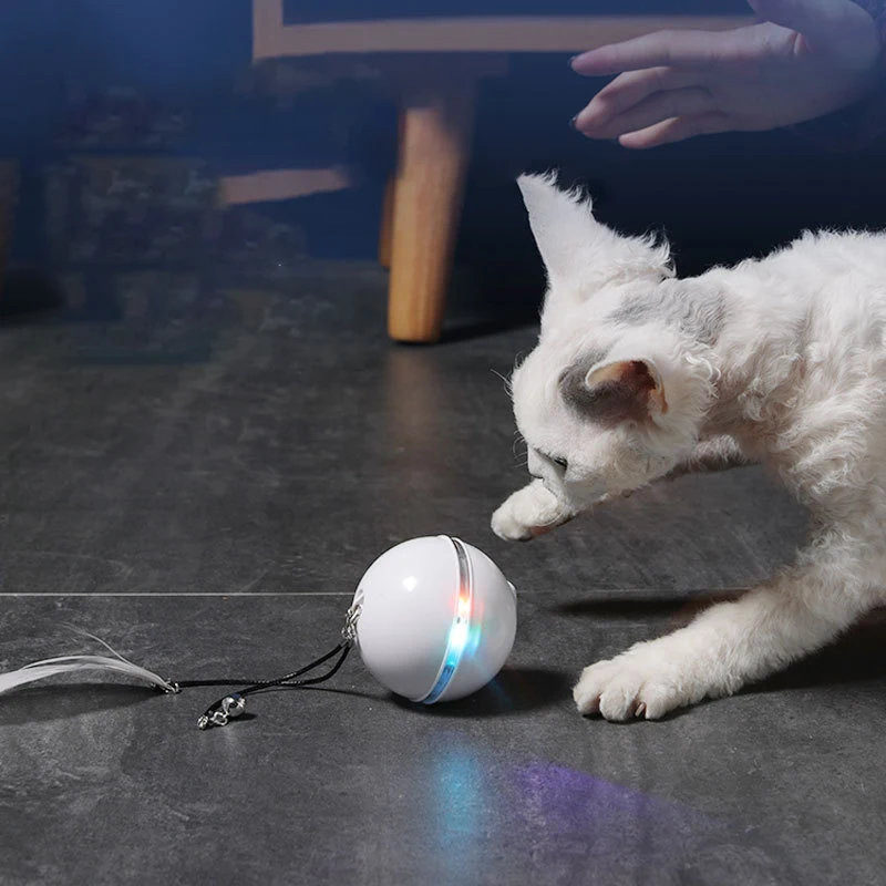 Nueva luz Led, juguete para gatos, pluma, bola inteligente interactiva electrónica, productos para mascotas, accesorios para gatos, juguetes, productos interesantes - imagen 2