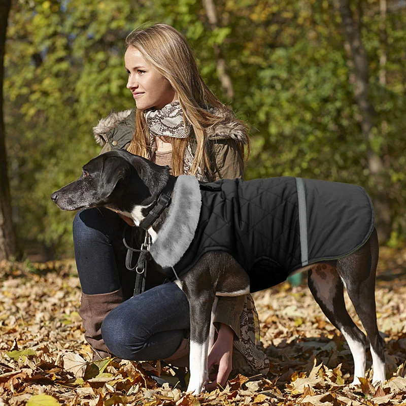 Benepaw-abrigo Reversible para perro, chaqueta con cuello de vellón cálido, ropa impermeable para cachorros pequeños, medianos y grandes, Invierno - imagen 3