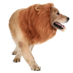 Disfraz peluca león para perro - Perfecto para fotos y fiestas