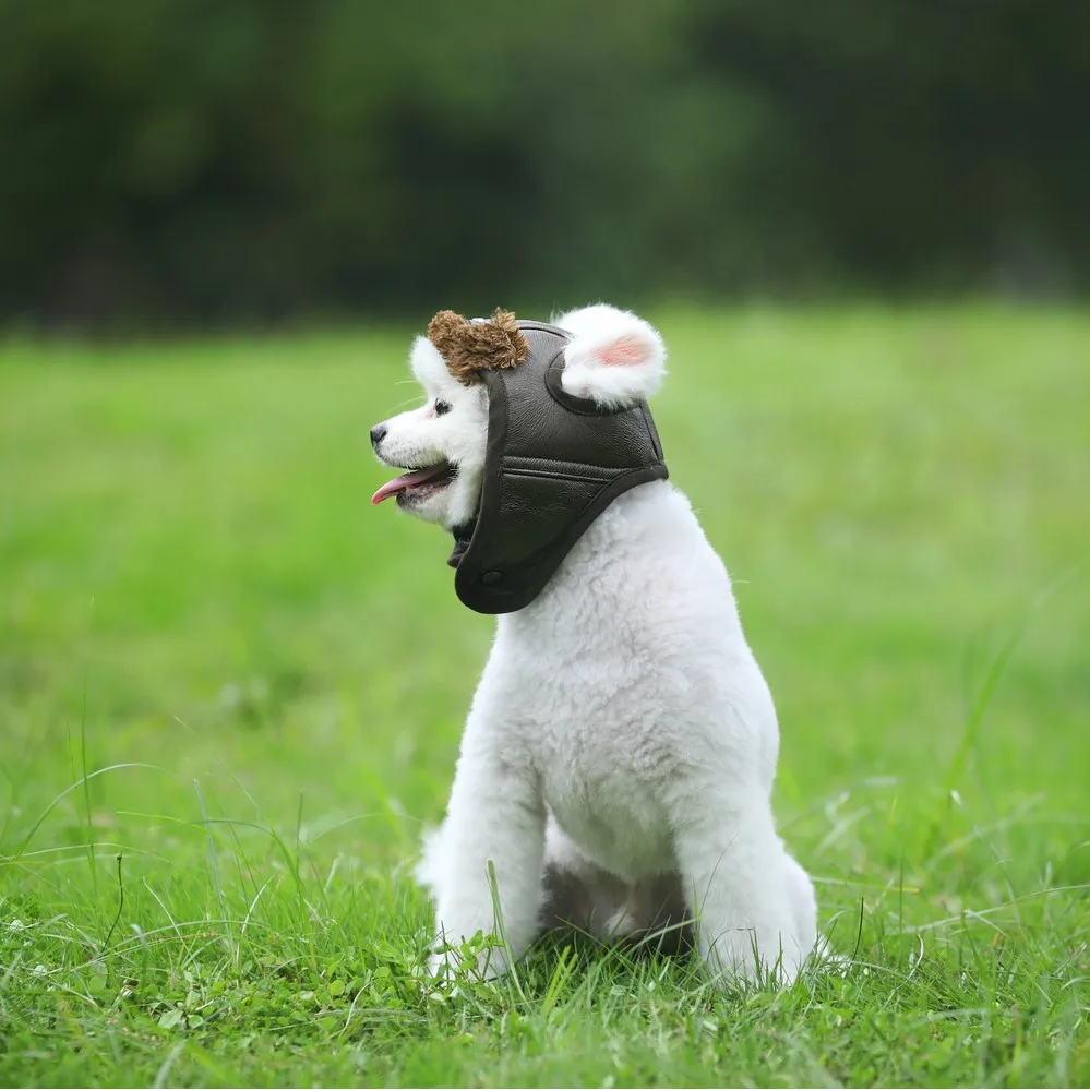 Chapeau de pilote coupe-vent pour petits, moyens et grands chiens, bonnet de neige pour chien, costume de cosplay pour animal de compagnie, style mignon, happator, automne et hiver - imagen 5