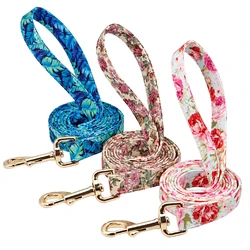 Collar y correa nailon estampados para perros y gatos