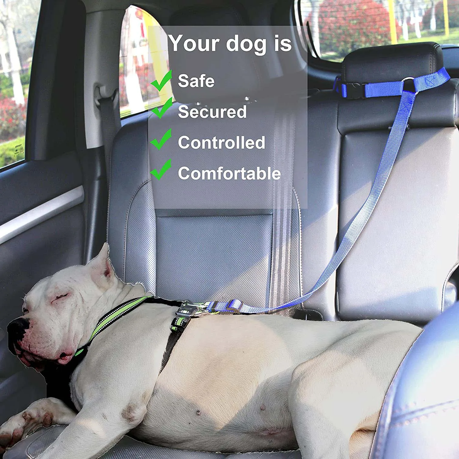 Correa de cinturón de seguridad para perros, reposacabezas de coche, sujeción ajustable de nailon para perros, cinturones de seguridad para vehículos, arnés, accesorios para mascotas - imagen 4