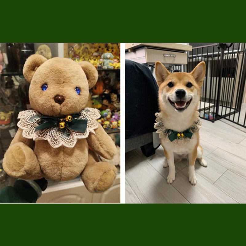 Diseño collar campana gato temperamento verde oscuro