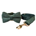 Bow Collar Leash Set