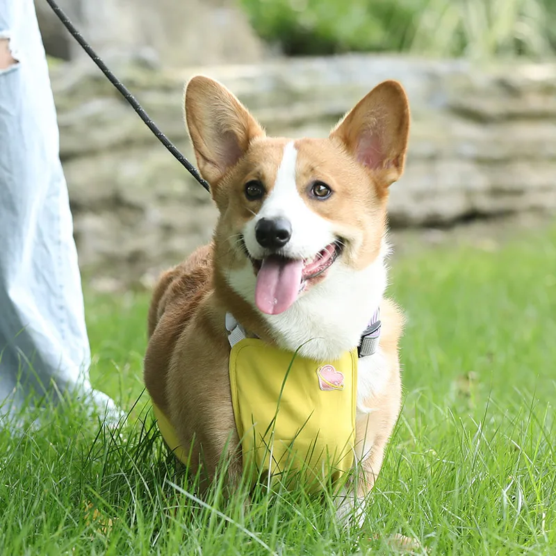 HOOPET Breathable And Comfortable Bellyband For Dogs Summer Clothes For Going Out Protective Belly Clothes For Pet Dog Suppliers - imagen 2