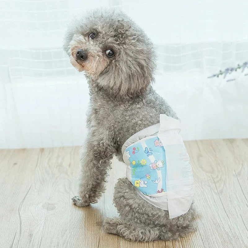 Pañales para perros masculinos de súper absorción, pantalones fisiológicos desechables a prueba de fugas, pañales para mascotas, bragas para cachorros, pañales de papel para perros