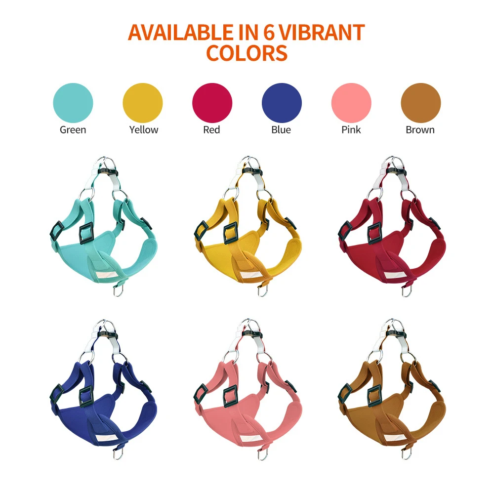 Perro pequeño usando el arnés con correa durante un paseo