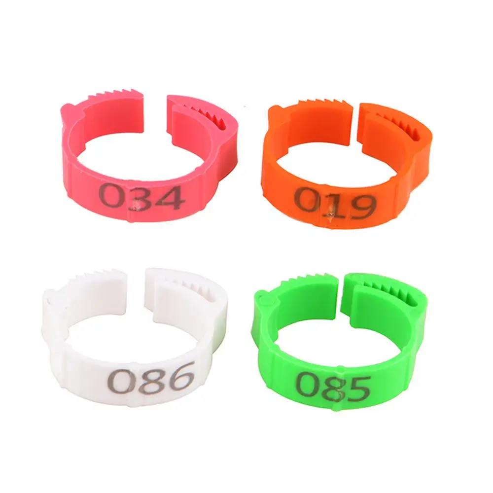 Anillos de pie de pollo ajustables, diámetro interior de 2 ~ 100 cm, flexibles y retráctiles, para aves de corral, 8 colores, 2,4 Uds./Color - imagen 4