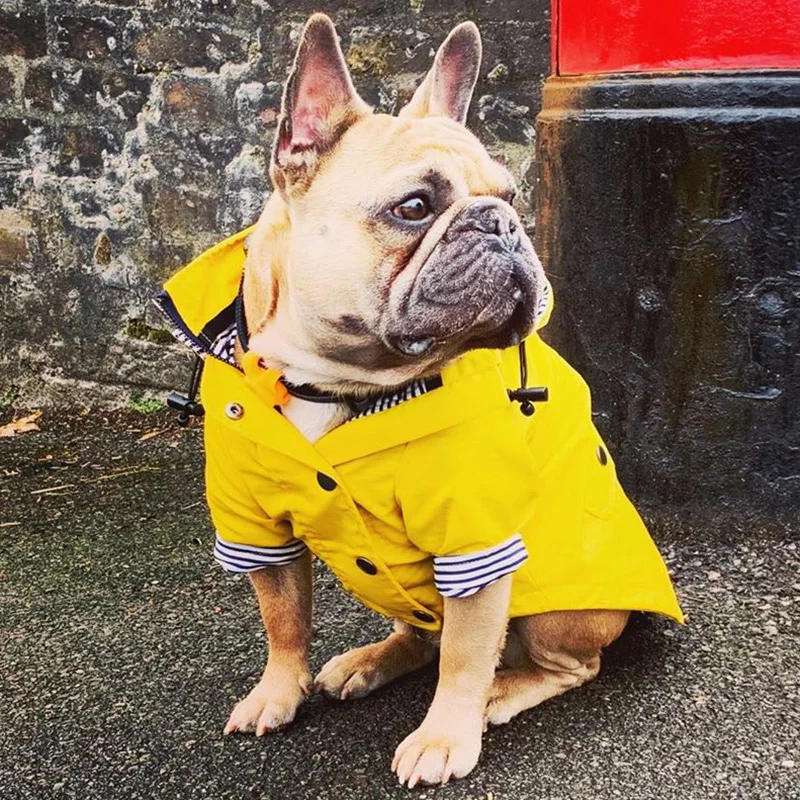 Chubasquero impermeable para perros medianos y grandes, ropa para perros grandes, Bulldog Francés, Pug, Corgi, Pitbull - imagen 3