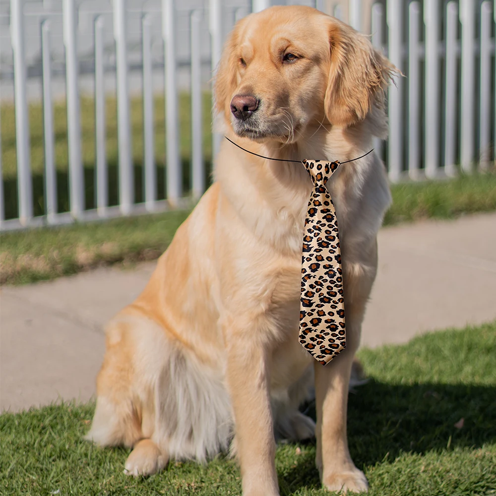 Sesión de grooming con accesorios