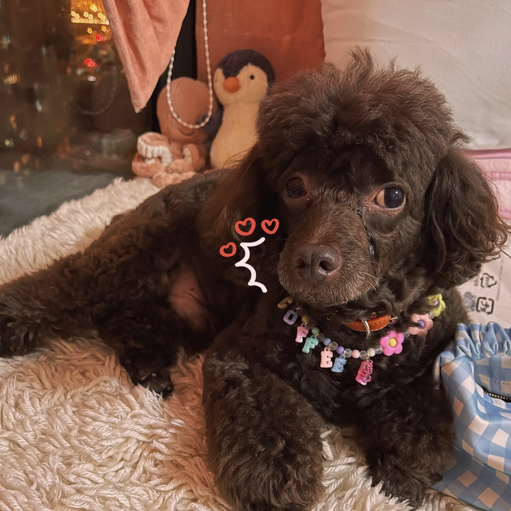 Collar de cuentas de flores de oso de color personalizado con nombre de gato y perro, accesorios para mascotas - imagen 2