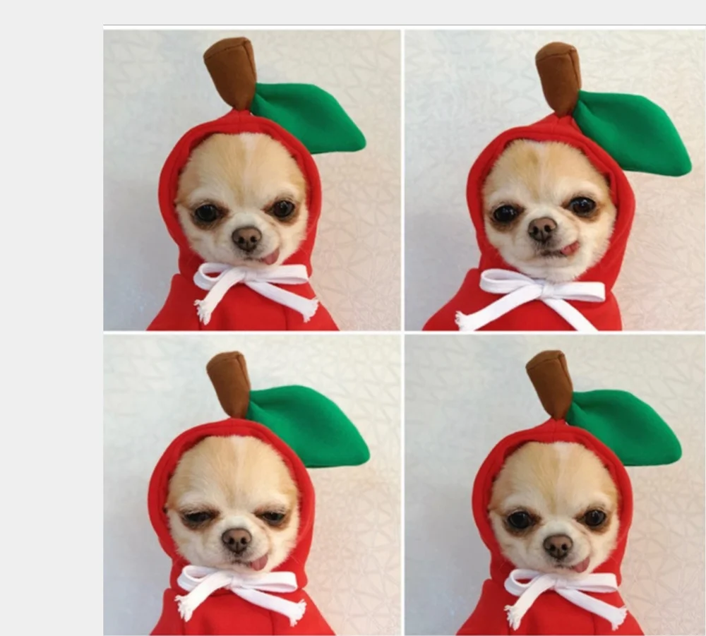 Suéter de lana para mascotas, ropa para perros pequeños, medianos y grandes, gato, Otoño e Invierno - imagen 5