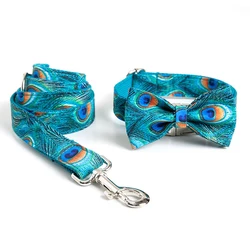 Collar y correa para perro – Diseño pavo real con lazo y hebilla metal