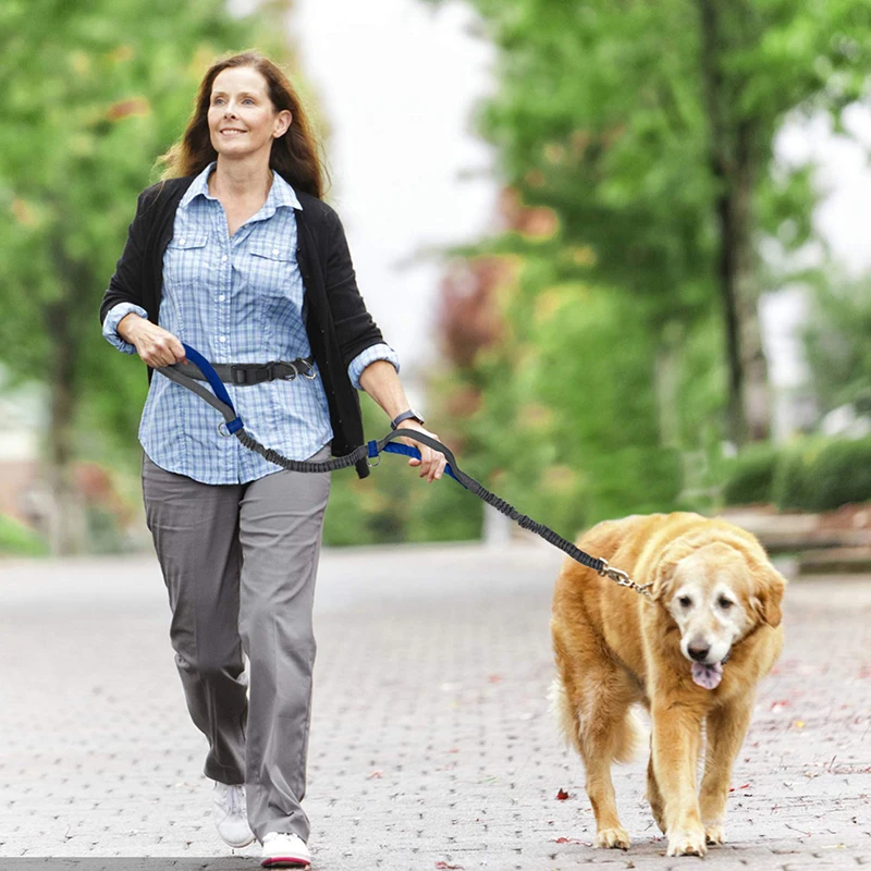 Benepaw-Correa de doble asa para perro, accesorio manos libres para correr, costuras reflectantes, manos libres, medianos y grandes para perros, senderismo - imagen 3