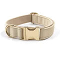 Collar Gold Buckle