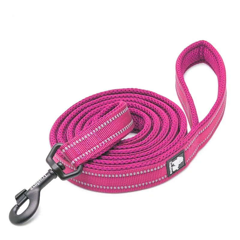 Fuchsia Dog Leash