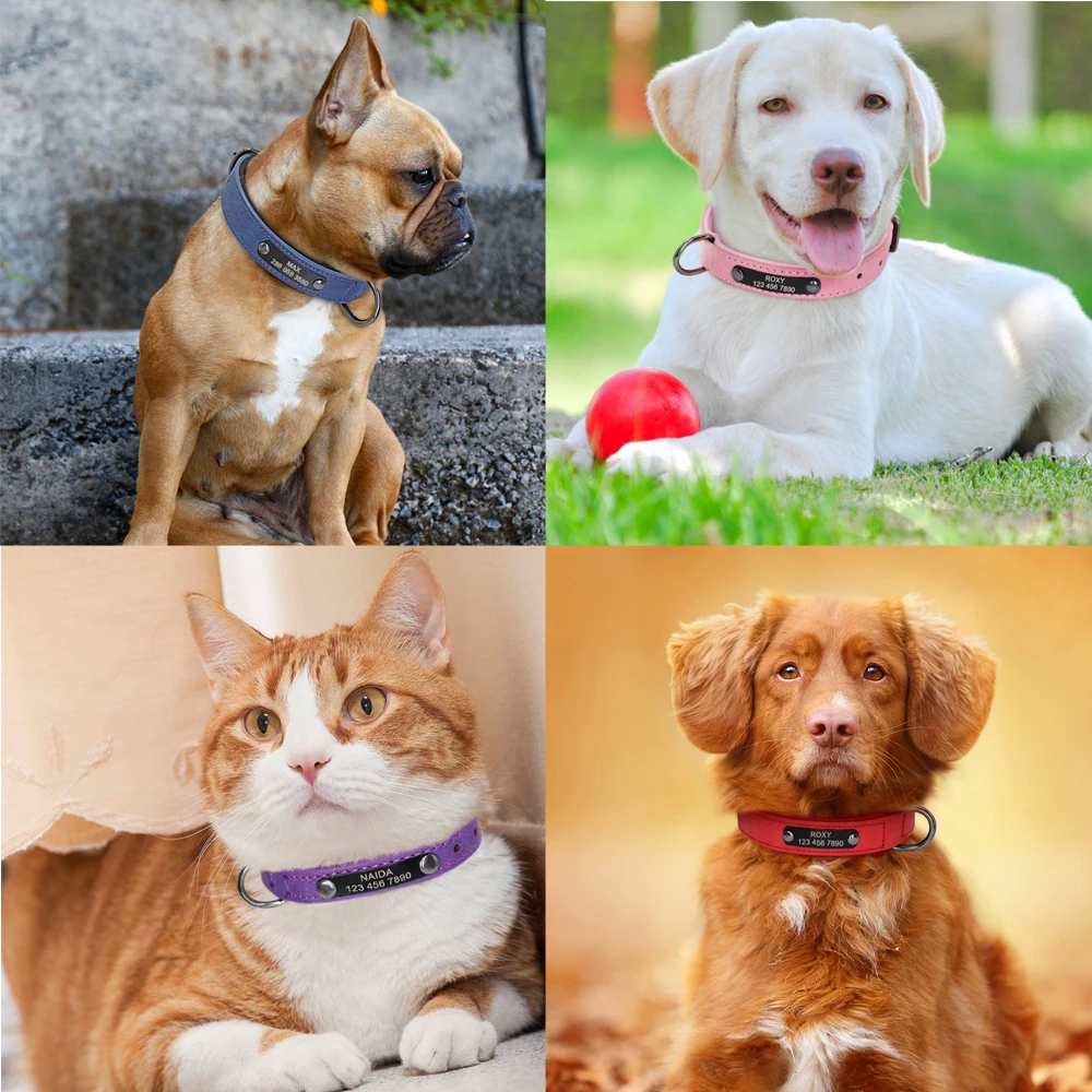 Collar de cuero personalizado para perros y gatos, Collar personalizado con diamantes de imitación para cachorros, collares grabados para mascotas para perros pequeños y medianos Pitbull Yorkie - imagen 5