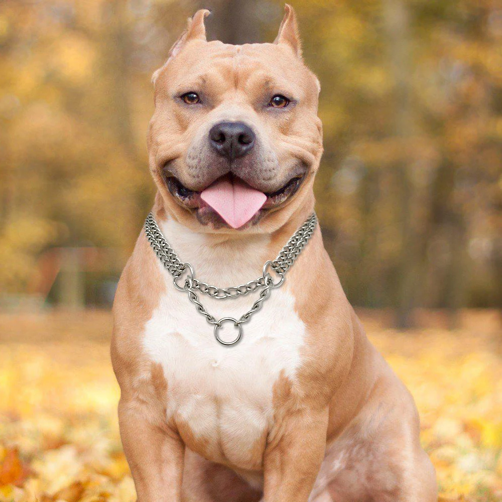 Cadena de entrenamiento para perros grandes, Collar de Choke para mascotas, cadena de Metal de doble fila, Collar antideslizante de acero inoxidable, Pitbull - imagen 4