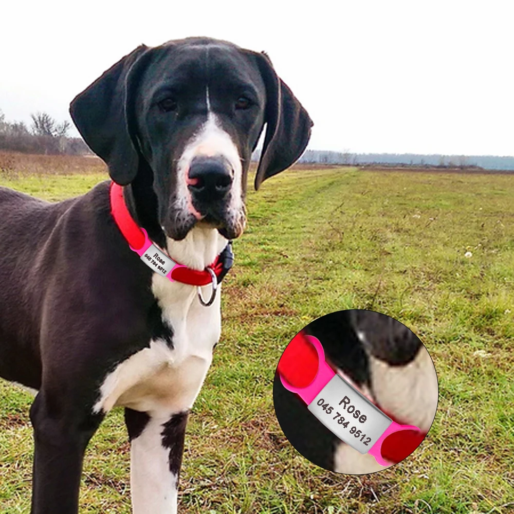 Etiquetas de identificación de perro gato personalizadas acero inoxidable sin ruido etiquetas para el cuello de gato mascota - imagen 5