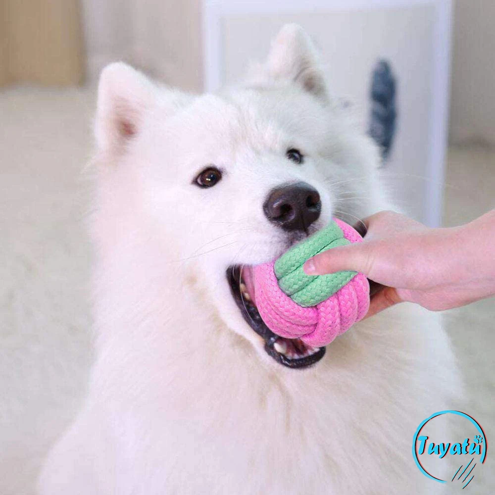 Juguete masticable de cuerda de algodón para perros pequeños, bola para masticar, duradera e interactiva, para cachorros, 6 paquetes - imagen 3
