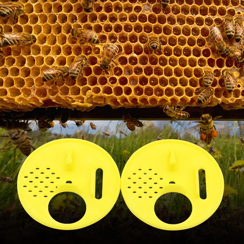 Herramienta de apicultura de 15 piezas, puerta de colmena de plástico redonda, salida de abeja única, salida de colmena, puerta de ventilación de entrada, suministros de apicultura de nido - imagen 2