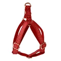 dog harness