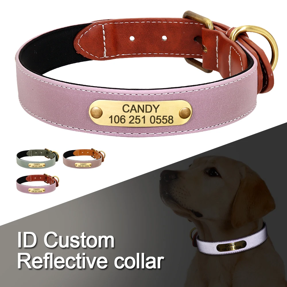 Collar de cuero para perro con placa metálica grabada PET ARTIST